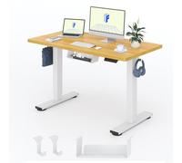 FlexiSpot Bureau Assis-Debout 120x60cm, Bureau Électrique Réglable, Bureau avec Crochet, Charge Max 70kg (Plateau Érable)