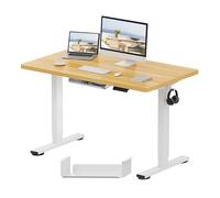 FLEXISPOT Bureau Assis Debout 120x60x(73-121) cm Bureau Réglable en Hauteur Électrique,Panneau de Contrôle à Fonctions Mémoires,Assemblage Facile,Bureau Télétravail(Cadre Blanc +Plateau Érable)