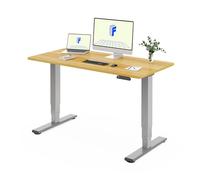 FLEXISPOT Bureau Assis Debout 160 * 80 Électrique avec Double Moteur, Plateau Monobloc 25mm, Pieds à 3 Niveaux, 100 kg de Charge, 4 Mémoires, Détection d’Obstacle, Érable