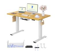 FLEXISPOT Bureau Assis Debout & 2 Moteurs, 120x60cm,Noir+Érable | Charge de 120kg, Système anti-collision, Panneau de Commande avec 4 mémoires & Accessoires Pratiques Inclus pour Bureau