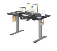 FLEXISPOT Bureau Assis Debout avec 2 Moteurs | 120x60cm,Charge 120kg, Système anti-collision, Fonctions Mémoires & Accessoires Pratiques,Gain de Place, Gris+Noir