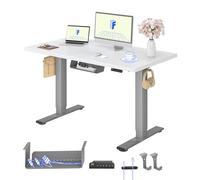FLEXISPOT Bureau Assis Debout avec 2 Moteurs, 120x80 Une Pièce, 100kg Charge, Bureau Debout Réglable en Hauteur Électrique, Panneau de Contrôle à Fonctions Mémoires(Gris+Blanc)