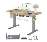 FLEXISPOT Bureau Assis Debout avec 2 Moteurs | 120x80cm, Plateau Fabriqué UE, Charge 120kg, Anti-collision, Fonctions Mémoires & Accessoires Pratiques,Gris+Chêne Clair