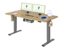 FLEXISPOT Bureau Assis Debout avec 2 Moteurs | 140x80cm, Plateau Fabriqué UE, Charge 120kg, Anti-collision, Fonctions Mémoires & Accessoires Pratiques,Gris+Chêne Clair