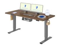 FLEXISPOT Bureau Assis Debout avec 2 Moteurs | 160x80cm, Plateau Fabriqué UE, Charge 120kg, Anti-collision, Fonctions Mémoires & Accessoires Pratiques,Gris+Chêne Foncé