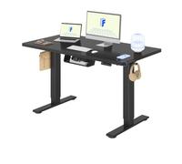 FLEXISPOT Bureau Assis Debout avec 2 Moteurs