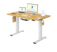 FLEXISPOT Bureau Assis Debout avec 2 Moteurs