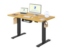 FLEXISPOT Bureau Assis Debout avec 2 Moteurs, Cadre Noir+Plateau Érable