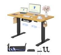 FLEXISPOT Bureau Assis Debout avec 2 Moteurs, Plateau Monobloc 25 mm