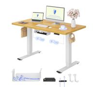 FLEXISPOT Bureau Assis Debout avec 2 Moteurs, Plateau Monobloc 25 mm