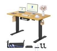 FLEXISPOT Bureau Assis Debout avec 2 Moteurs, Une Pièce 120x60cm, 100kg Charge, Bureau Debout Réglable en Hauteur Électrique, Panneau de Contrôle à Fonctions Mémoires(Noir+Érable)