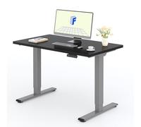 FLEXISPOT Bureau Assis Debout avec 2 Moteurs, Une Pièce 120x60cm, 100kg Charge, Bureau Debout Réglable en Hauteur Électrique, Panneau de Contrôle à Fonctions Mémoires(Gris+Noir)