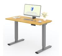 FLEXISPOT Bureau Assis Debout avec 2 Moteurs, Une Pièce 120x60cm, 100kg Charge, Bureau Debout Réglable en Hauteur Électrique, Panneau de Contrôle à Fonctions Mémoires(Gris+Érable)