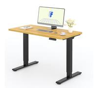 FLEXISPOT Bureau Assis Debout avec 2 Moteurs, Une Pièce 120x60cm, 100kg Charge, Bureau Debout Réglable en Hauteur Électrique, Panneau de Contrôle à Fonctions Mémoires(Noir+Érable)