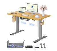 FLEXISPOT Bureau Assis Debout avec 2 Moteurs, Une Pièce 120x60cm, 100kg Charge, Bureau Debout Réglable en Hauteur Électrique, Panneau de Contrôle à Fonctions Mémoires(Gris+Érable)