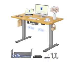 FLEXISPOT Bureau Assis Debout avec 2 Moteurs, Une Pièce 120x60cm, 100kg Charge, Bureau Debout Réglable en Hauteur Électrique, Panneau de Contrôle à Fonctions Mémoires(Gris+Érable)