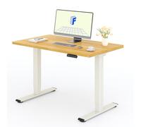 FLEXISPOT Bureau Assis Debout avec 2 Moteurs, Une Pièce 120x80cm, 100kg Charge, Bureau Debout Réglable en Hauteur Électrique, Panneau de Contrôle à Fonctions Mémoires(Mousse Blanche+Érable)