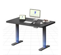 FLEXISPOT Bureau Assis Debout Électrique à Moteur Silencieux, Piétement Rond Stable, Plateau 120×60 cm, Réglage de Hauteur avec 4 Positions Mémoire, Système Anti-Collision, Noir + Noir