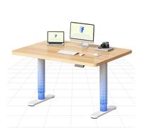 FLEXISPOT Bureau Assis Debout Électrique à Moteur Silencieux, Piétement Rond Stable, Plateau 120×80 cm, Réglage de Hauteur avec 4 Positions Mémoire, Système Anti-Collision, Blanc + Érable