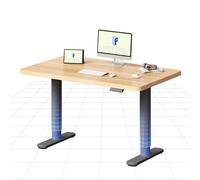 FLEXISPOT Bureau Assis Debout Électrique à Moteur Silencieux, Piétement Rond Stable, Plateau 120×80 cm, Réglage de Hauteur avec 4 Positions Mémoire, Système Anti-Collision, Noir + Érable