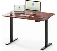 FLEXISPOT Bureau électrique à hauteur réglable 120x80cm, capacité de charge 100KG, double moteur, 4 fonctions de mémoire, plateau monobloc 25mm(acajou)