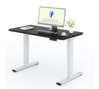 FLEXISPOT Bureau électrique réglable en hauteur 120x80cm 100KG de charge, double moteur, 4 fonctions de mémoire, plateau monobloc de 25mm (Noir)