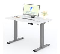 FLEXISPOT Bureau électrique réglable en hauteur 120x80cm 100KG de charge, double moteur, 4 fonctions de mémoire, plateau monobloc de 25mm (Blanc)