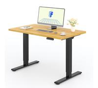 FLEXISPOT Bureau électrique réglable en hauteur 120x80cm 100KG de charge, double moteur, 4 fonctions de mémoire, plateau monobloc de 25mm (érable)