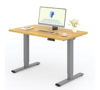 FLEXISPOT Bureau électrique réglable en hauteur 120x80cm 100KG de charge, double moteur, 4 fonctions de mémoire, plateau monobloc de 25mm (érable)
