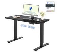 FLEXISPOT Bureau électrique réglable en hauteur 120x80cm, capacité de charge 100KG, double moteur, fonction 4 mémoires, plateau monobloc 25mm (Noir)