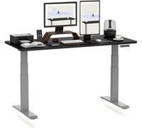 FLEXISPOT Bureau réglable en hauteur 160x80cm 2 moteurs, capacité de charge 160kg, protection anti-collision, plateau monobloc 25mm, 4 mémoires Noir