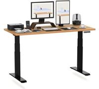 FLEXISPOT Bureau réglable en hauteur 160x80cm 2 moteurs, capacité de charge 160kg, protection anti-collision, plateau monobloc 25mm, 4 mémoires érable