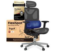 FlexiSpot Chaise de Bureau Ergonomique, Appui-tête 3D Accoudoir 3D et Support Lombaire 5D Indépendant, en Maille Gris