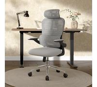 FLEXISPOT Chaise de bureau ergonomique avec accoudoirs 3D, chaise de bureau avec dossier réglable et support lombaire - Chaise pivotante avec roulettes Assise éponge Gris