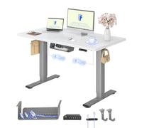 FLEXISPOT E1 Pro Bureau Assis Debout avec 2 Moteurs, 120x60cm | Charge 120kg, Système Anti-collision, Fonctions mémoire & Accessoires pratiques, Garantie 5 ans, Gris+Blanc