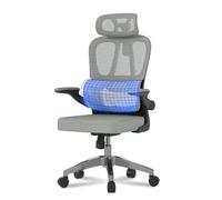 FLEXISPOT ERGOX Basic Chaise Bureau, Chaise Ergonomique en Maille Pivotante Réglable en Hauteur ave Accoudoirs 2D et Soutien Lombaire Indépendant en C, Maille Respirante, Gris