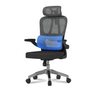 FLEXISPOT ERGOX Basic Chaise Bureau, Chaise Ergonomique en Maille Pivotante Réglable en Hauteur ave Accoudoirs 2D et Soutien Lombaire Indépendant en C, Maille Respirante, Noir