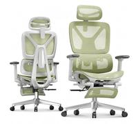 FLEXISPOT ErgoX Chaise Bureau, Accoudoirs 3D, Chaise Ergonomique en Maille Pivotante Réglable en Hauteur avec Appuie-tête et Soutien Lombaire Indépendant, Ambiance de Travail Naturelle, Vert