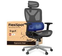 FLEXISPOT ErgoX Chaise Bureau, Accoudoirs 3D, Chaise Ergonomique en Maille Pivotante Réglable en Hauteur avec Appuie-tête et Soutien Lombaire Indépendant, Gris