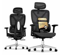FLEXISPOT ErgoX Chaise de Bureau Ergonomique avec Soutien Lombaire