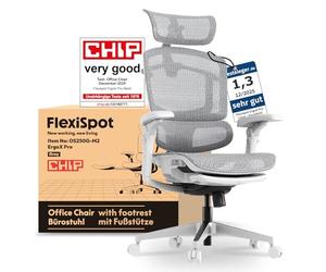 FLEXISPOT ErgoX Pro Chaise de Bureau Ergonomique avec Repose-Pieds, Réglage en Hauteur à 12 Niveaux, Accoudoirs 7D, Soutien Lombaire 5D, Appui-tête 4D, Charge 250 kg et Assise Maille Respirante,Gris
