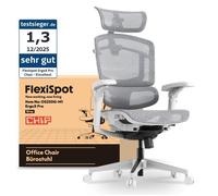 FlexiSpot ErgoX Pro Chaise de Bureau Ergonomique, Réglage en Hauteur à 12 Niveaux, Accoudoirs 7D, Charge de 250 kg, Maille,Gris