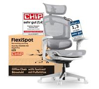 FlexiSpot ErgoX Pro Chaise Ergonomique avec Repose-Pieds, Charge 250 kg, Réglage à 12 Niveaux,Accoudoirs 7D,Lombaire 5D, Maille,Gris