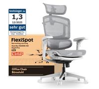 FlexiSpot ErgoX Pro Chaise Ergonomique avec Repose-Pieds, Réglage en Hauteur à 12 Niveaux, Lombaire 5D, Charge 250 kg, Maille,Gris