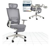FlexiSpot Foldex Chaise de Bureau Ergonomique, Chaise Pliante avec Support Lombaire, Appui-Tête 2D, Chaises avec Repose-Pieds, Gris