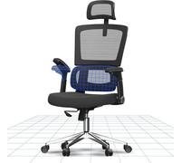 FlexiSpot OC19 Chaise Bureau, Chaise Ergonomique en Maille Pivotante Réglable ave Accoudoirs 2D & Soutien Lombaire Indépendant,