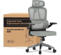 FlexiSpot OC19 Chaise Bureau, Chaise Ergonomique en Maille Pivotante Réglable ave Accoudoirs 2D & Soutien Lombaire Indépendant, Gris