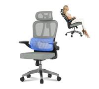 FLEXISPOT OC19 Chaise Bureau, Chaise Ergonomique en Maille Pivotante Réglable en Hauteur ave Accoudoirs 2D et Soutien Lombaire Indépendant en C, Maille Respirante, Gris