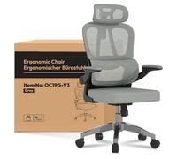 FLEXISPOT OC3 Lite Chaise Bureau, Chaise Ergonomique en Maille Pivotante Réglable en Hauteur ave Accoudoirs 2D et Soutien Lombaire Indépendant en C, Maille Respirante, Gris