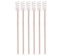 FLEXMAN 6Pcs Electroculture Plant Stake, 12in Electroculture Copper Coil Antenna Set Pile Culture Électrique, Plantation Électronique Jardinage Outils de Fil de Bobines de Cuivre